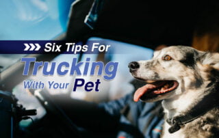 Six tips for trucking with your pet